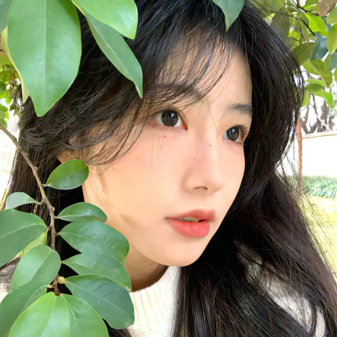 橘子红了